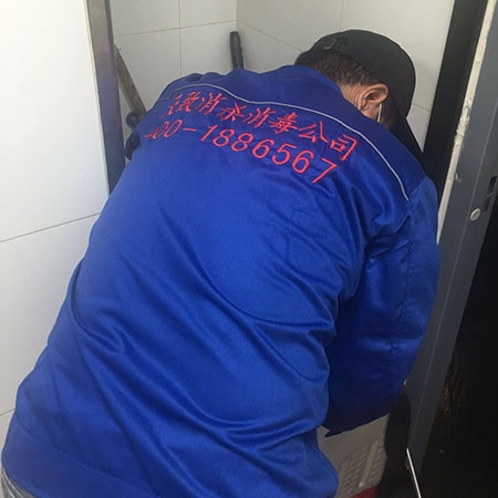 湖北专业消毒服务
